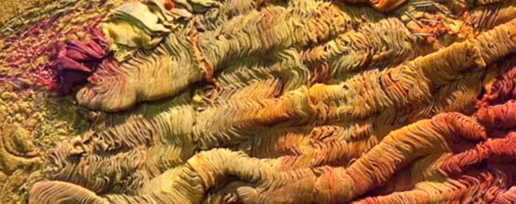 Abstract artwork with textured, wavy layers in warm tones of yellow, orange, and red.